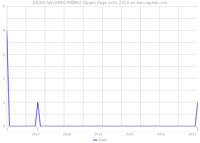 JULIAN NAVARRO PIÑERO (Spain) Page visits 2024 