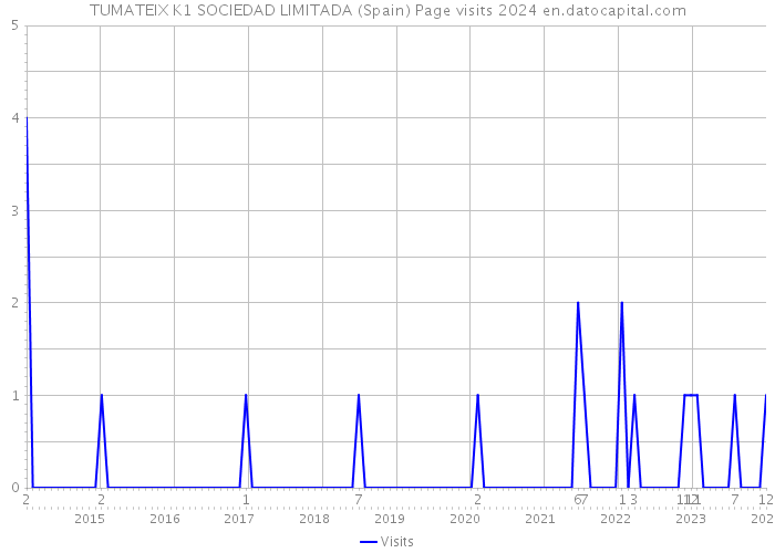 TUMATEIX K1 SOCIEDAD LIMITADA (Spain) Page visits 2024 