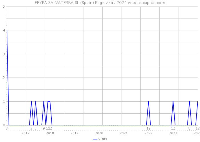 FEYPA SALVATERRA SL (Spain) Page visits 2024 