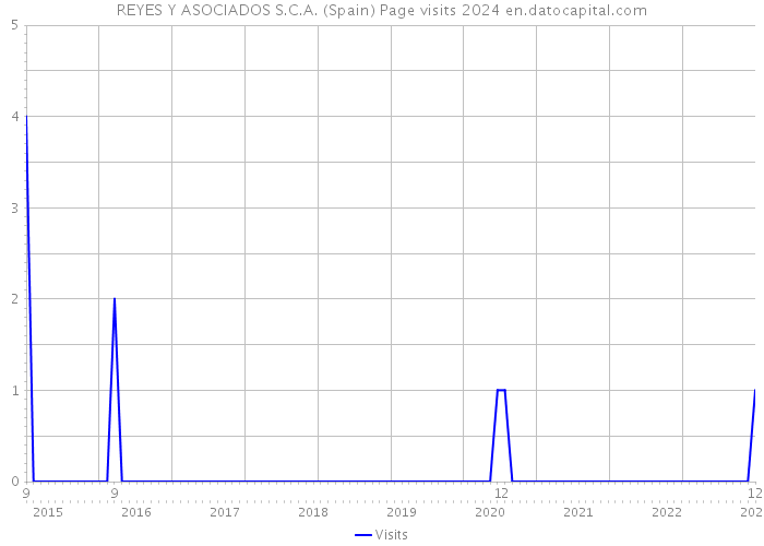 REYES Y ASOCIADOS S.C.A. (Spain) Page visits 2024 