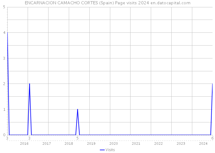 ENCARNACION CAMACHO CORTES (Spain) Page visits 2024 