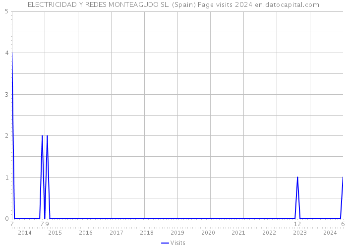 ELECTRICIDAD Y REDES MONTEAGUDO SL. (Spain) Page visits 2024 