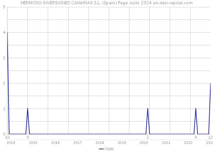 HERMOSO INVERSIONES CANARIAS S.L. (Spain) Page visits 2024 