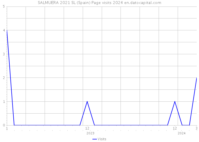 SALMUERA 2021 SL (Spain) Page visits 2024 
