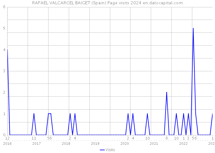 RAFAEL VALCARCEL BAIGET (Spain) Page visits 2024 