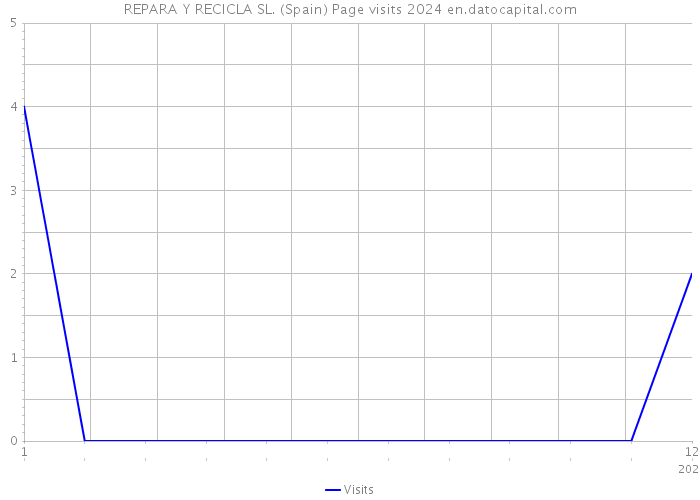 REPARA Y RECICLA SL. (Spain) Page visits 2024 