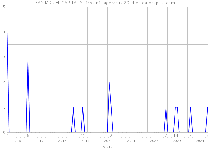 SAN MIGUEL CAPITAL SL (Spain) Page visits 2024 