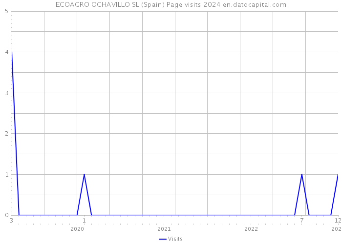 ECOAGRO OCHAVILLO SL (Spain) Page visits 2024 