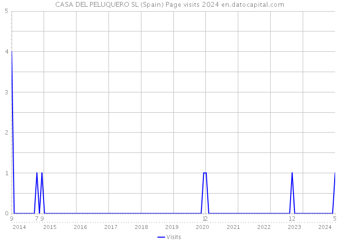 CASA DEL PELUQUERO SL (Spain) Page visits 2024 
