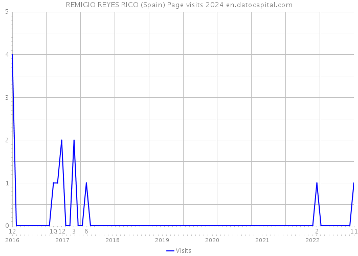 REMIGIO REYES RICO (Spain) Page visits 2024 