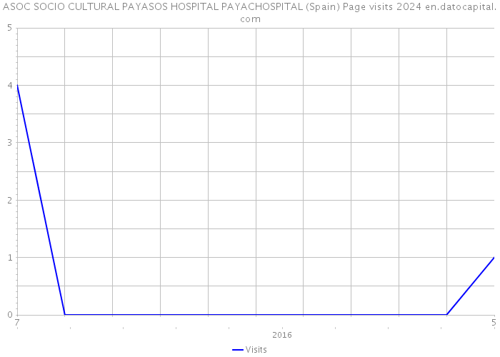 ASOC SOCIO CULTURAL PAYASOS HOSPITAL PAYACHOSPITAL (Spain) Page visits 2024 