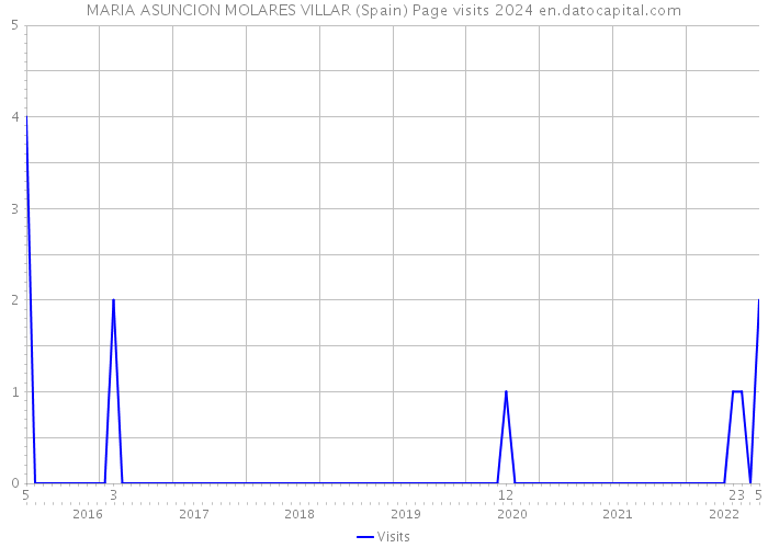 MARIA ASUNCION MOLARES VILLAR (Spain) Page visits 2024 