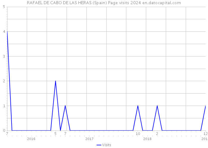 RAFAEL DE CABO DE LAS HERAS (Spain) Page visits 2024 