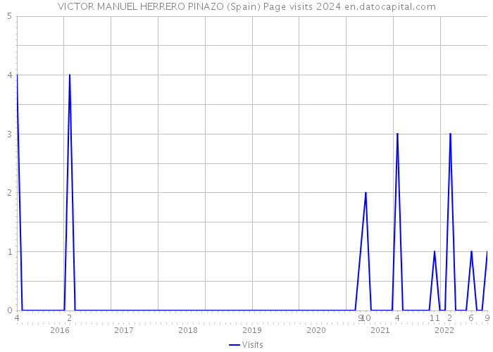 VICTOR MANUEL HERRERO PINAZO (Spain) Page visits 2024 