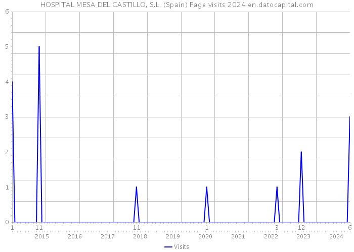 HOSPITAL MESA DEL CASTILLO, S.L. (Spain) Page visits 2024 