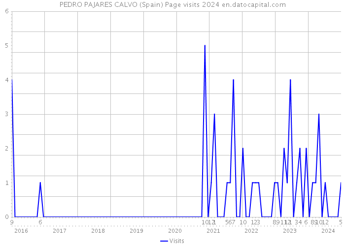PEDRO PAJARES CALVO (Spain) Page visits 2024 