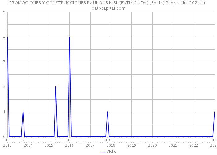 PROMOCIONES Y CONSTRUCCIONES RAUL RUBIN SL (EXTINGUIDA) (Spain) Page visits 2024 