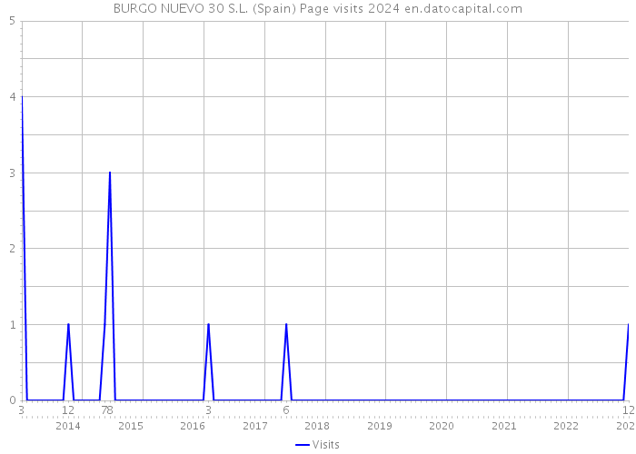 BURGO NUEVO 30 S.L. (Spain) Page visits 2024 