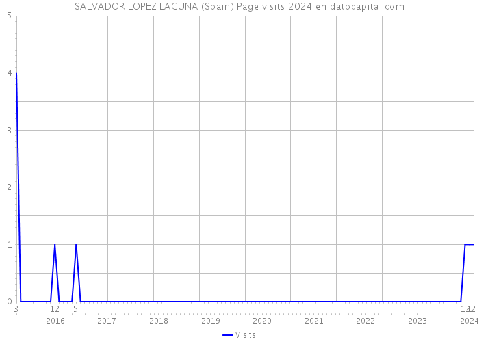SALVADOR LOPEZ LAGUNA (Spain) Page visits 2024 