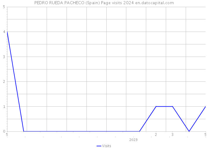 PEDRO RUEDA PACHECO (Spain) Page visits 2024 