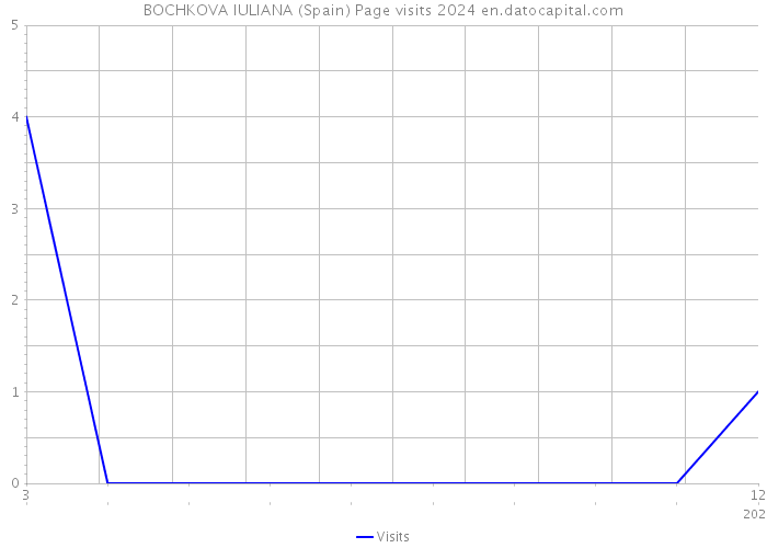 BOCHKOVA IULIANA (Spain) Page visits 2024 