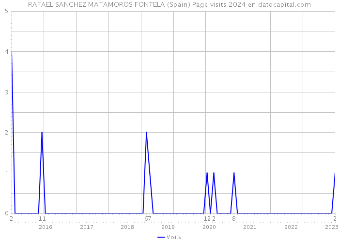RAFAEL SANCHEZ MATAMOROS FONTELA (Spain) Page visits 2024 