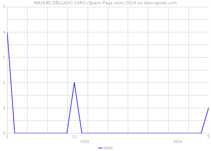 MANUEL DELGADO CARO (Spain) Page visits 2024 