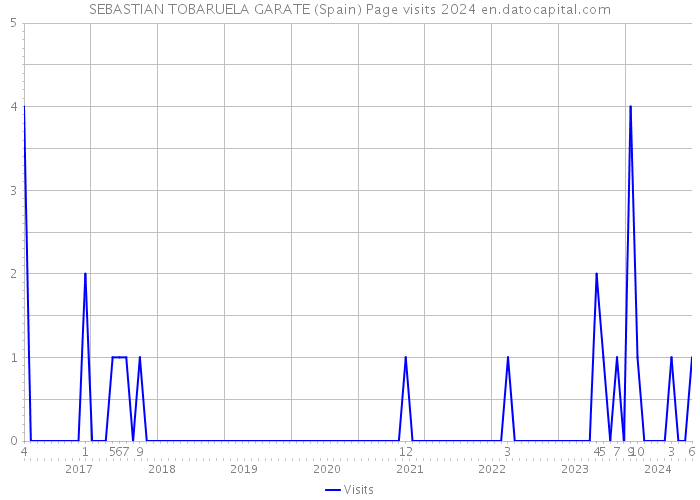 SEBASTIAN TOBARUELA GARATE (Spain) Page visits 2024 