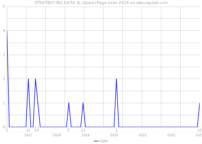 STRATEGY BIG DATA SL (Spain) Page visits 2024 