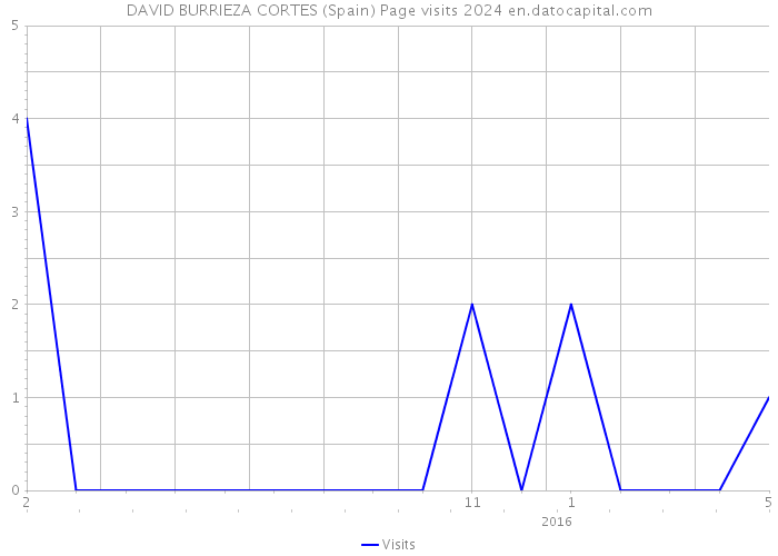 DAVID BURRIEZA CORTES (Spain) Page visits 2024 