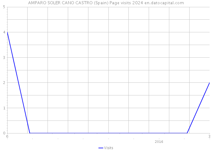 AMPARO SOLER CANO CASTRO (Spain) Page visits 2024 