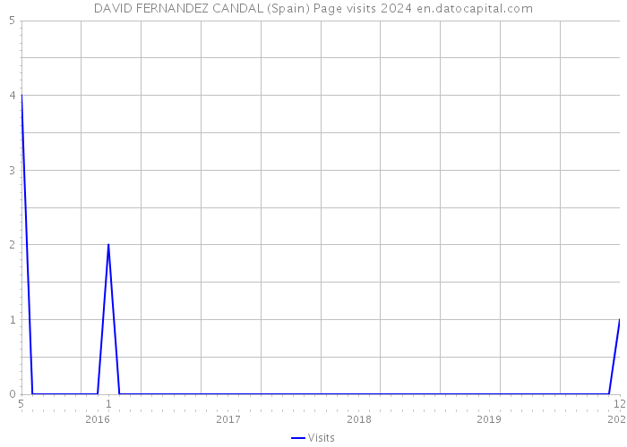 DAVID FERNANDEZ CANDAL (Spain) Page visits 2024 