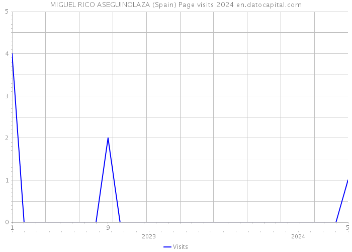 MIGUEL RICO ASEGUINOLAZA (Spain) Page visits 2024 