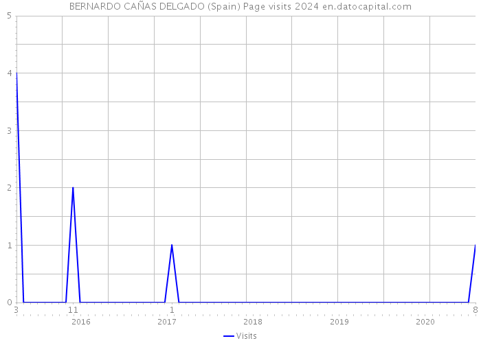 BERNARDO CAÑAS DELGADO (Spain) Page visits 2024 