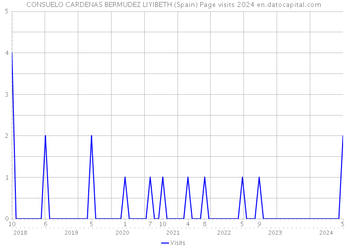 CONSUELO CARDENAS BERMUDEZ LIYIBETH (Spain) Page visits 2024 