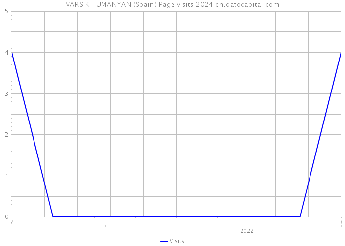 VARSIK TUMANYAN (Spain) Page visits 2024 