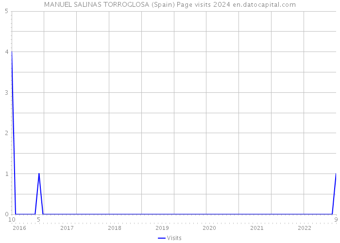 MANUEL SALINAS TORROGLOSA (Spain) Page visits 2024 
