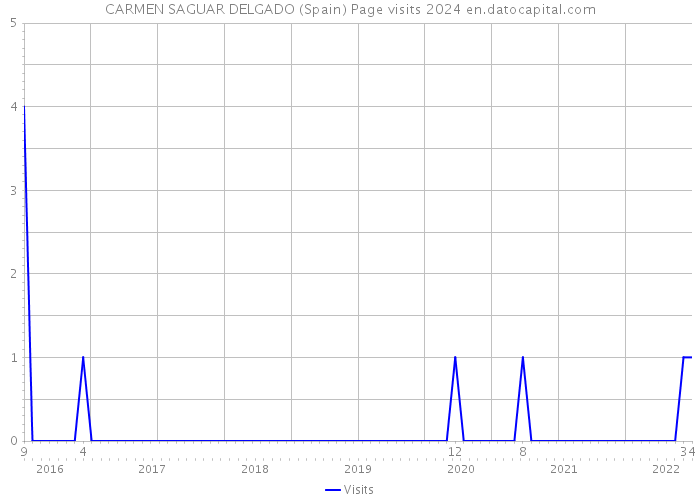 CARMEN SAGUAR DELGADO (Spain) Page visits 2024 