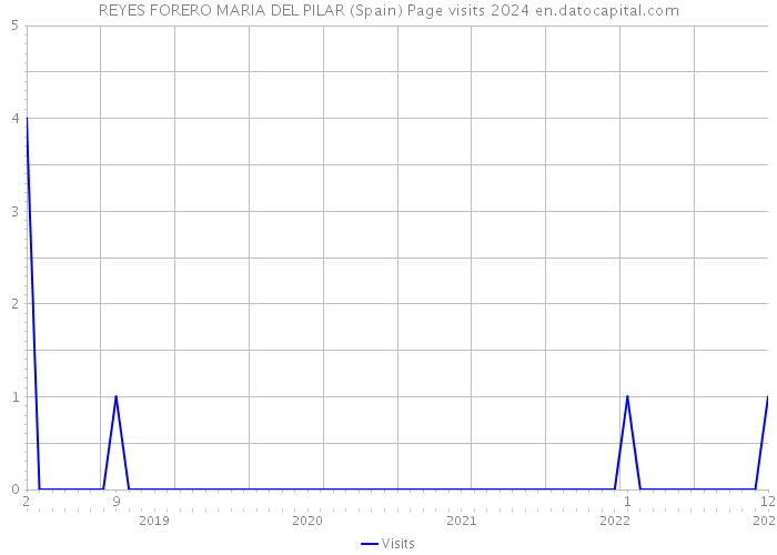 REYES FORERO MARIA DEL PILAR (Spain) Page visits 2024 