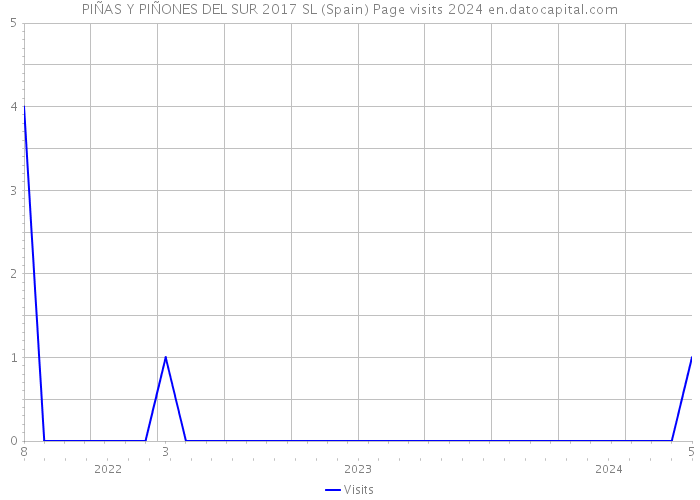 PIÑAS Y PIÑONES DEL SUR 2017 SL (Spain) Page visits 2024 