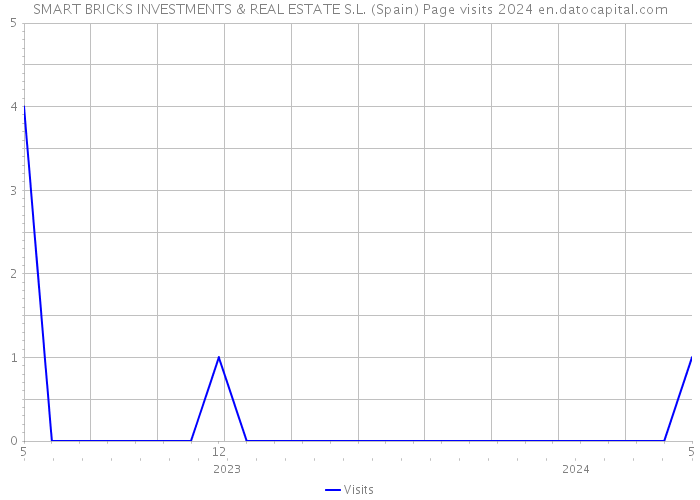 SMART BRICKS INVESTMENTS & REAL ESTATE S.L. (Spain) Page visits 2024 
