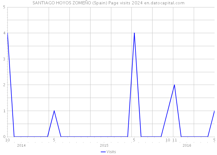 SANTIAGO HOYOS ZOMEÑO (Spain) Page visits 2024 