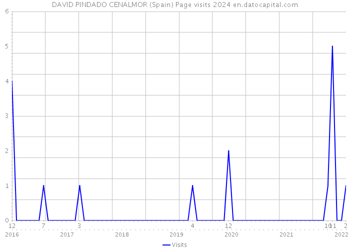 DAVID PINDADO CENALMOR (Spain) Page visits 2024 