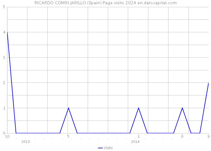 RICARDO COMIN JARILLO (Spain) Page visits 2024 
