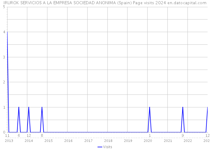 IRUROK SERVICIOS A LA EMPRESA SOCIEDAD ANONIMA (Spain) Page visits 2024 