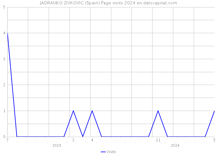 JADRANKO ZIVKOVIC (Spain) Page visits 2024 