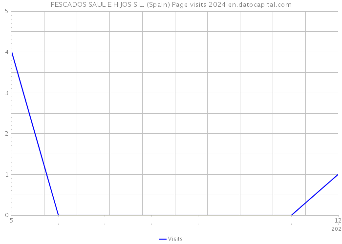 PESCADOS SAUL E HIJOS S.L. (Spain) Page visits 2024 