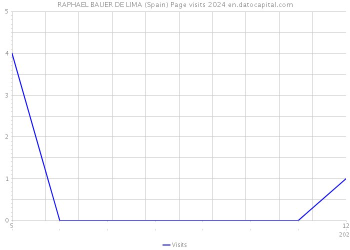 RAPHAEL BAUER DE LIMA (Spain) Page visits 2024 