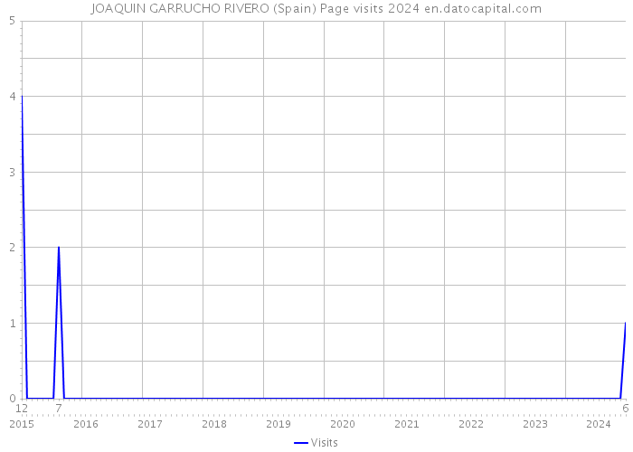 JOAQUIN GARRUCHO RIVERO (Spain) Page visits 2024 
