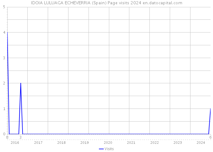 IDOIA LULUAGA ECHEVERRIA (Spain) Page visits 2024 